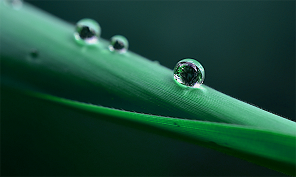 Shanghai Princose Energy Technology Co. Ltd.