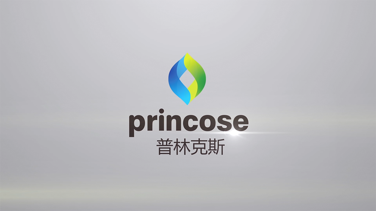 上海普林克斯能源技術(shù)有限公司