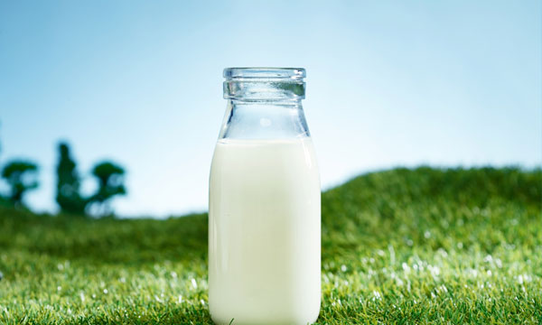 上海普林克斯能源技術(shù)有限公司