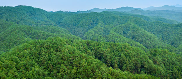 綠色絲路與國(guó)際合作暨“一帶一路”生態(tài)環(huán)保大數(shù)據(jù)服務(wù)平臺(tái)國(guó)際研討會(huì)在廣州舉辦