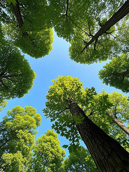 上海普林克斯能源技術有限公司 上海普林克斯能源技術有限公司