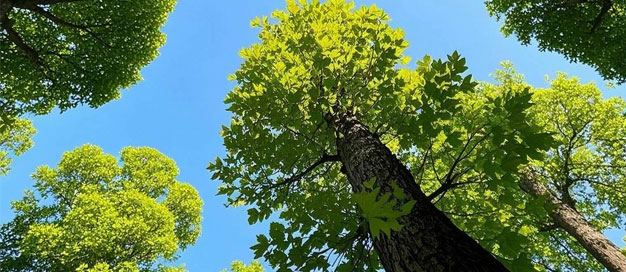 六載砥礪凝聚國(guó)際共識(shí)，引領(lǐng)共建地球生命共同體