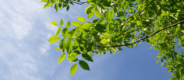 生態(tài)環(huán)境部出席2024年新加坡清潔環(huán)境峰會(huì)與國(guó)際水周