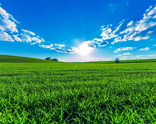 上海普林克斯能源技術有限公司 上海普林克斯能源技術有限公司