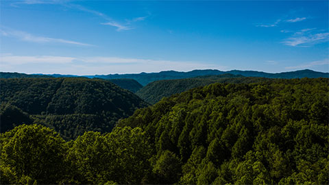 上海普林克斯能源技術有限公司