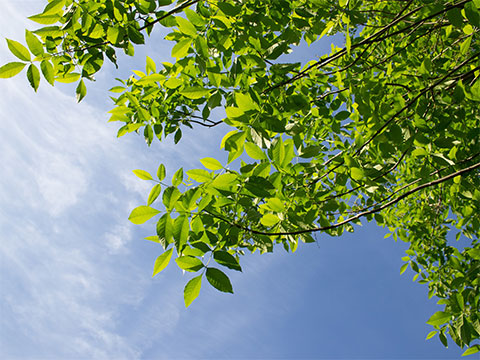 上海普林克斯能源技術(shù)有限公司 上海普林克斯能源技術(shù)有限公司