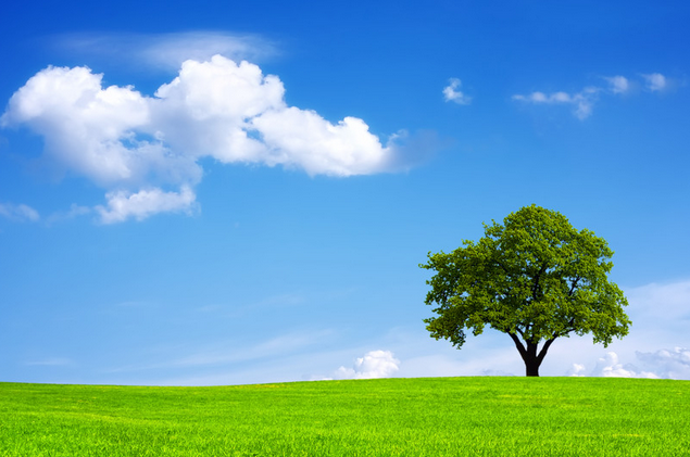 上海普林克斯能源技術(shù)有限公司 上海普林克斯能源技術(shù)有限公司