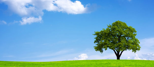 生態(tài)環(huán)境部部長(zhǎng)黃潤(rùn)秋赴青海省調(diào)研生態(tài)環(huán)境保護(hù)工作