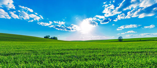 生態(tài)環(huán)境部部長(zhǎng)黃潤(rùn)秋赴浙江調(diào)研生態(tài)環(huán)境保護(hù)工作