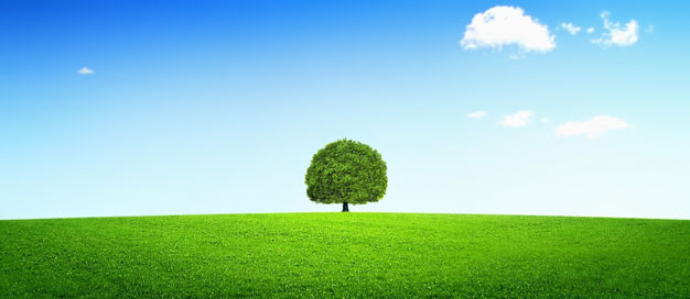 第六次大湄公河次區(qū)域環(huán)境部長(zhǎng)會(huì)議召開