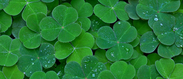 2024年固體廢物與化學品環(huán)境管理工作會議在魯召開