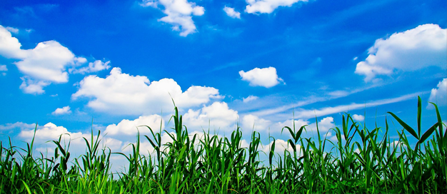 生態(tài)環(huán)境部召開規(guī)范涉企生態(tài)環(huán)境行政執(zhí)法集中整治專項行動 動員部署視頻會議