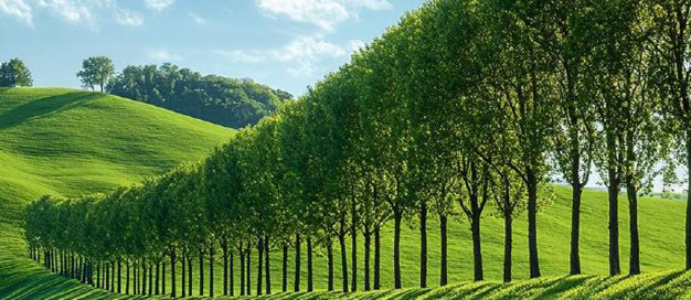 生態(tài)環(huán)境部組織召開非法傾倒處置固體廢物整治和生活垃圾填埋場治理工作視頻會議